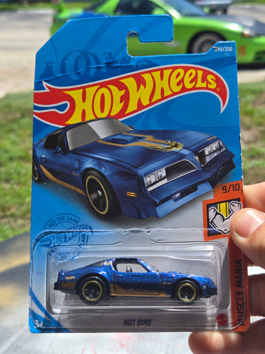 '77 Pontiac Firebird- blue