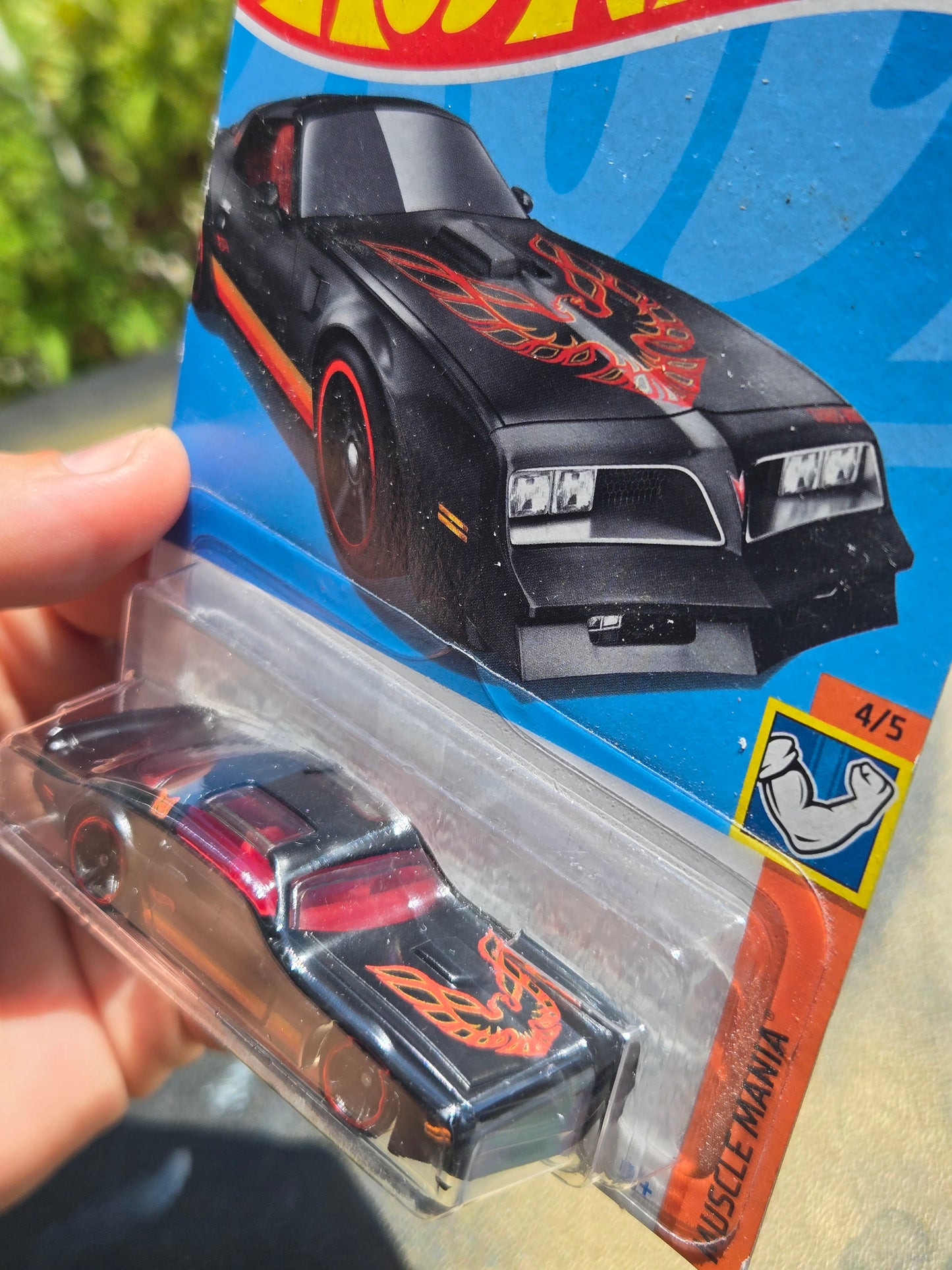 '77 Pontiac Firebird- matte black